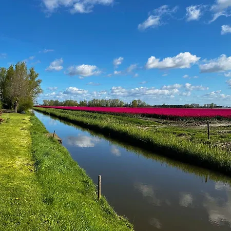 The Smiling Buddha 3* Achthuizen