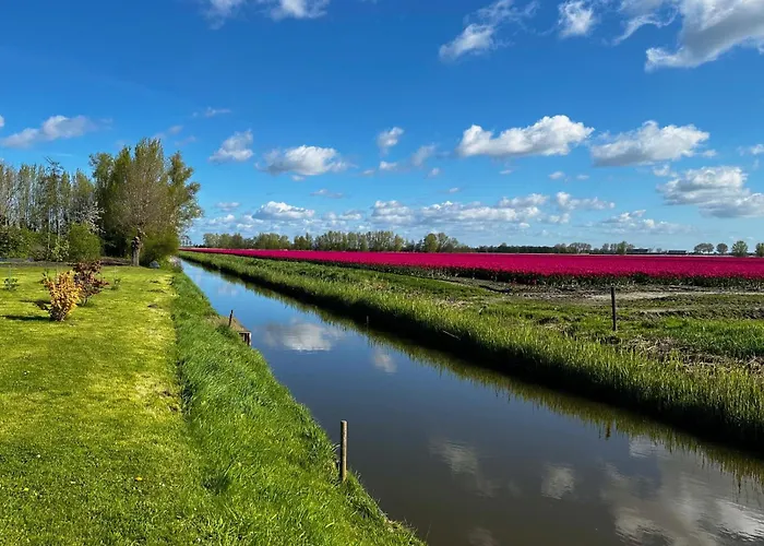 The Smiling Buddha 3* Achthuizen