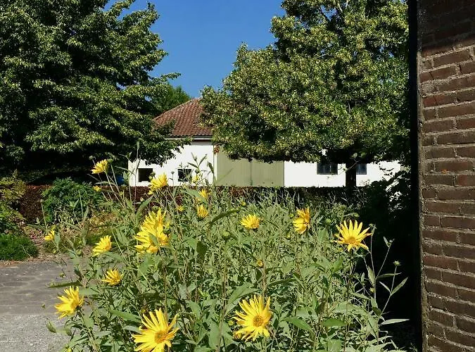 Vendégház The Smiling Buddha 3*