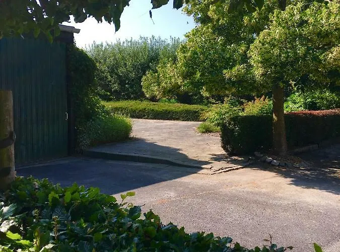 The Smiling Buddha Achthuizen