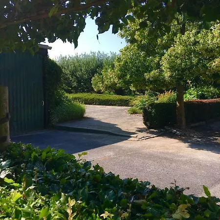 The Smiling Buddha Achthuizen